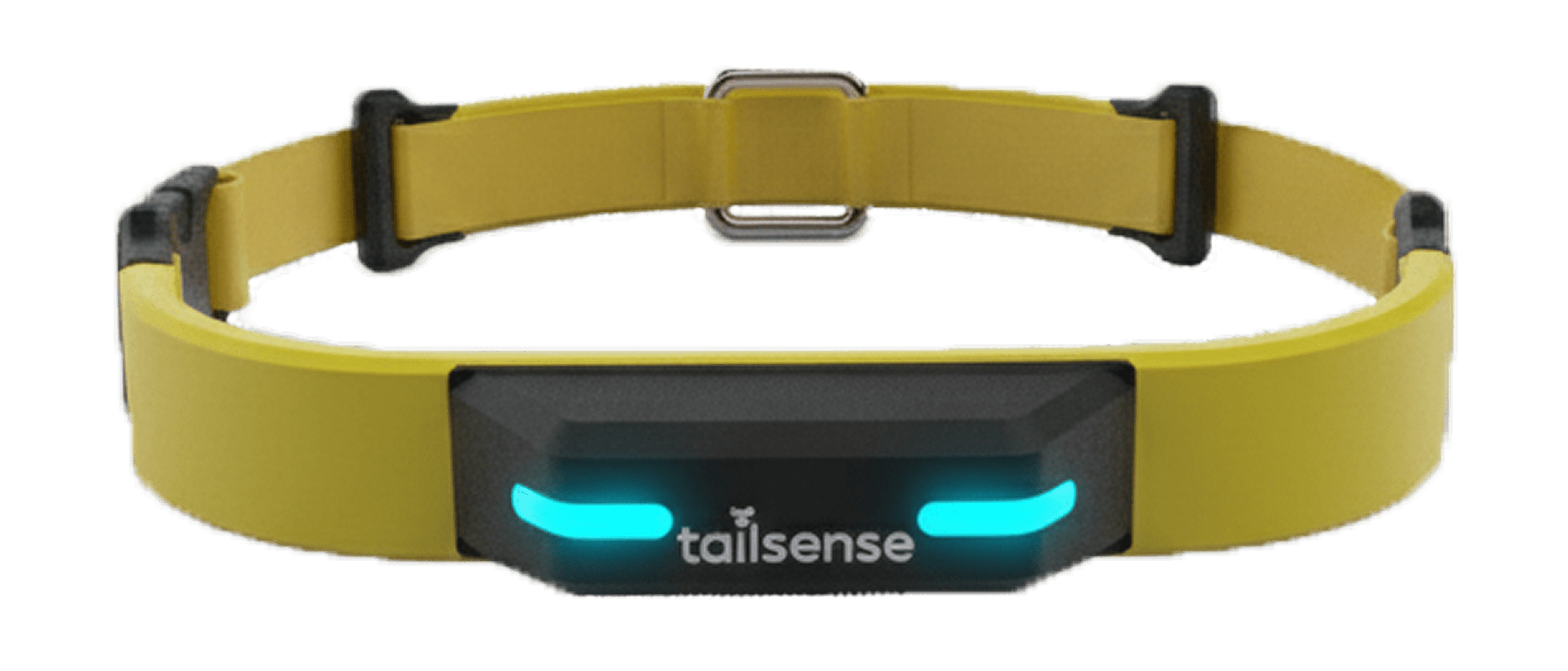 Tailsense