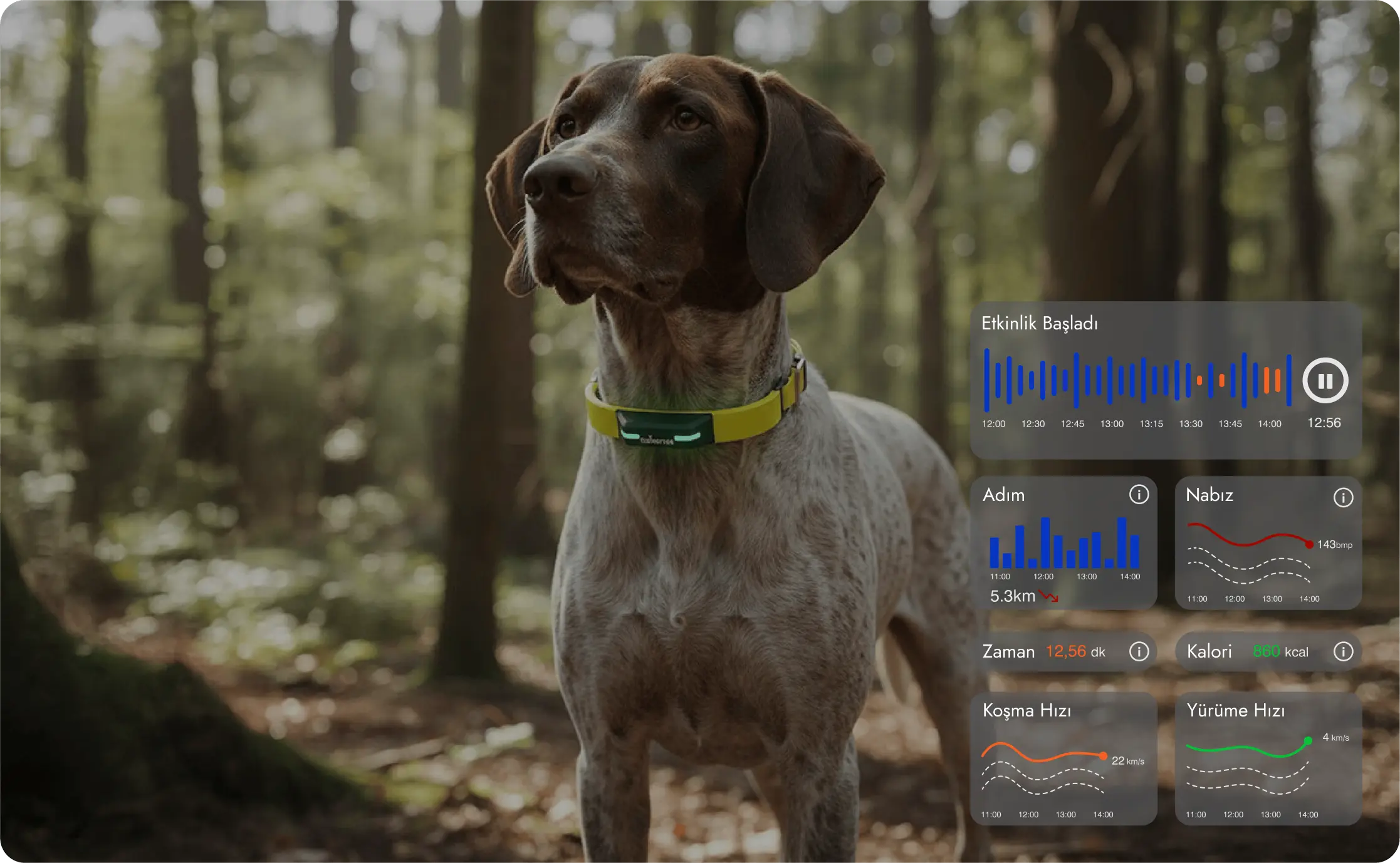 Günlük kullanım için yapay zeka destekli kesintisiz asistan